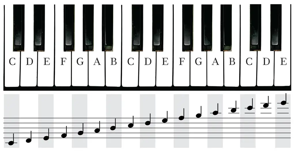 Keyboard piano dengan not do do sol sol la la sol yang disorot