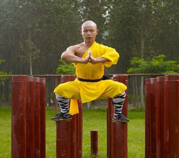 kung fu master