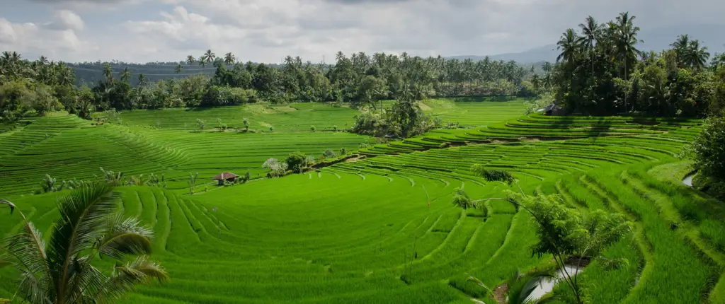 Adegan romantis di alam Indonesia