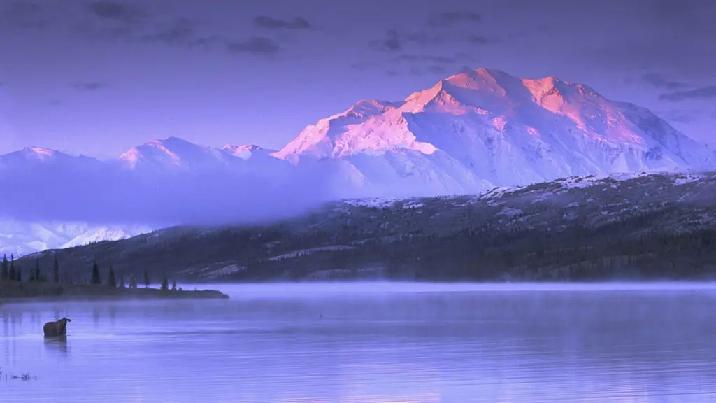 teluk alaska kapan tayang