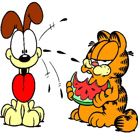 Garfield dan Odie sedang bermain bersama.