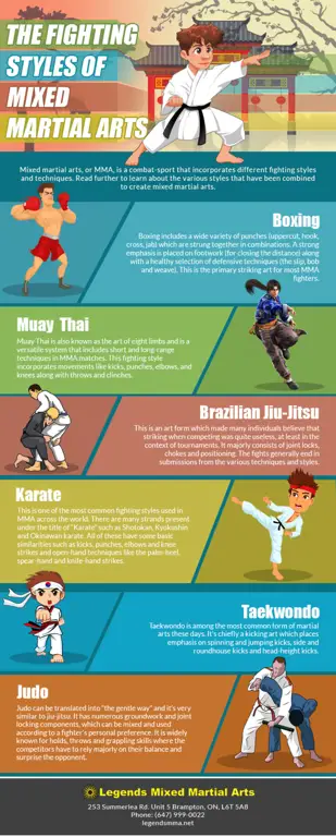 Pelatihan Mixed Martial Arts