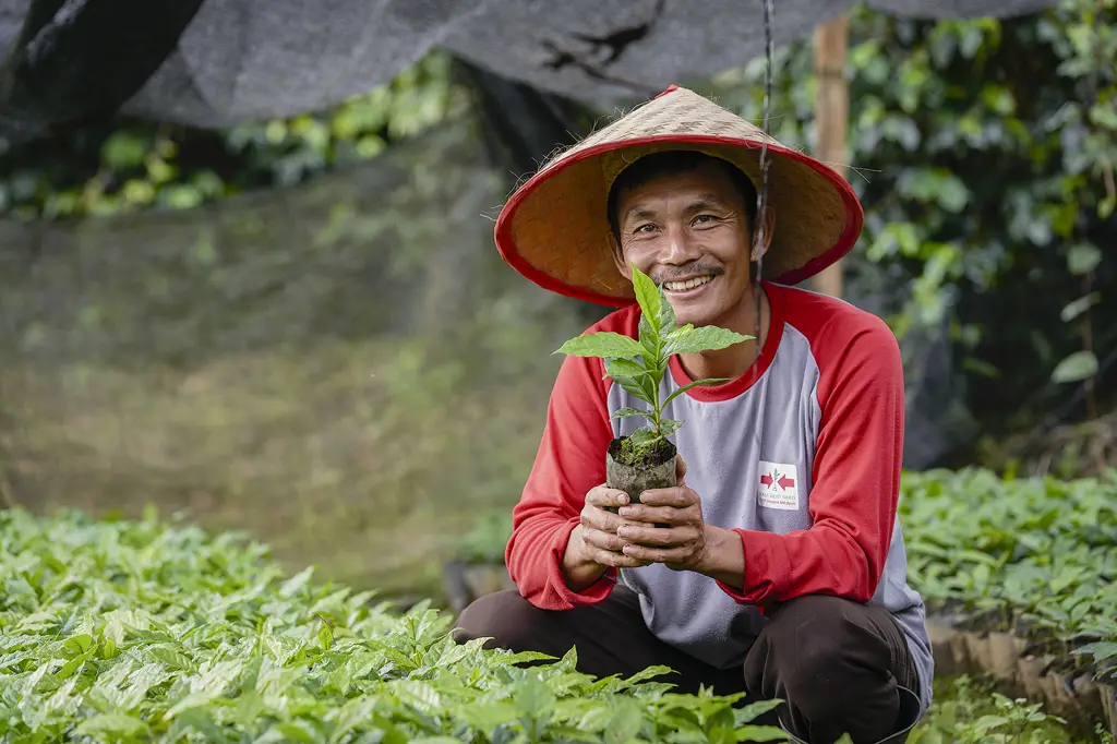 Metode pertanian tradisional di Indonesia