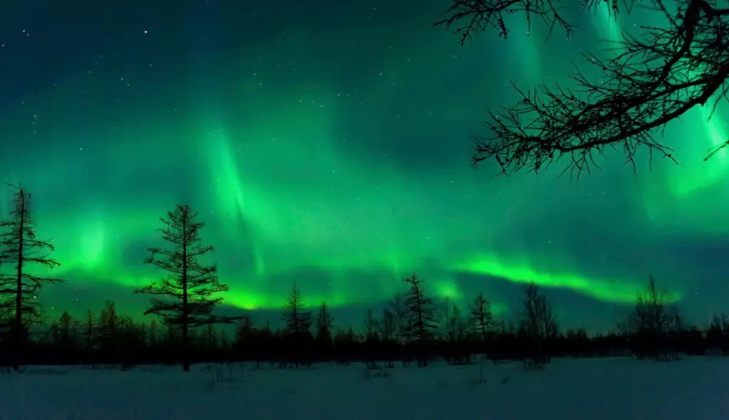 Aurora di langit malam