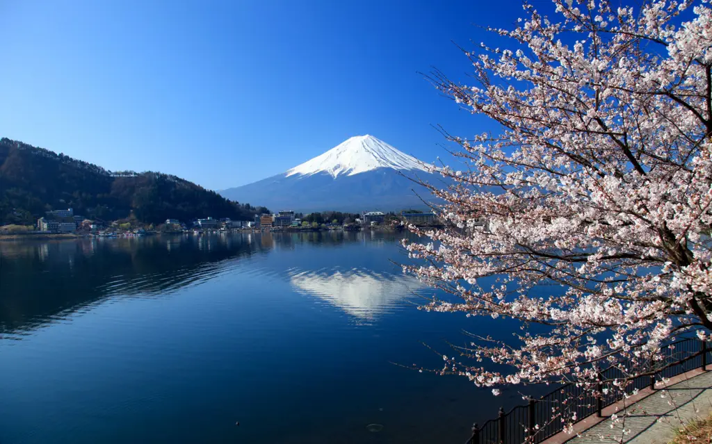 Pemandangan pegunungan di Jepang