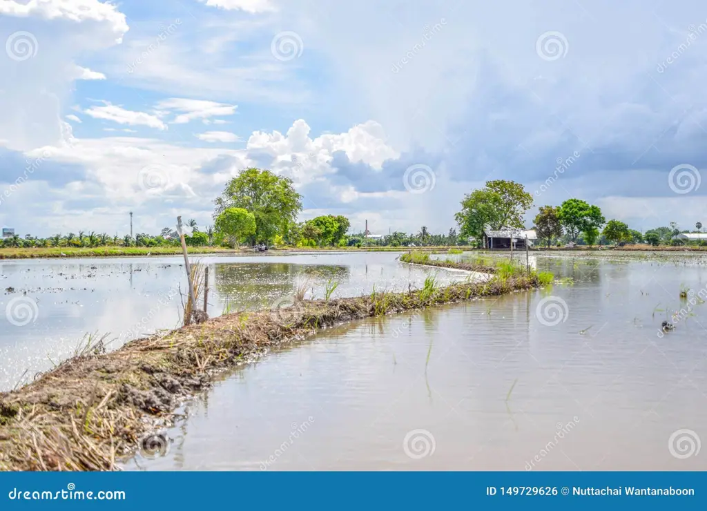 Pemandangan pedesaan Thailand yang asri