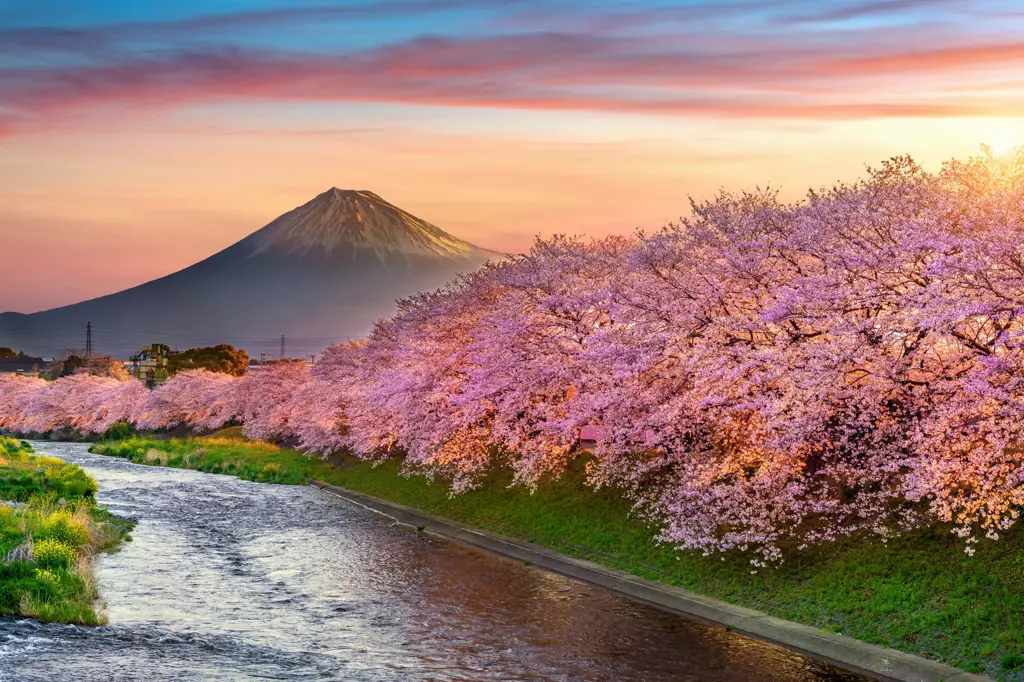 Pemandangan alam yang indah di Korea Selatan