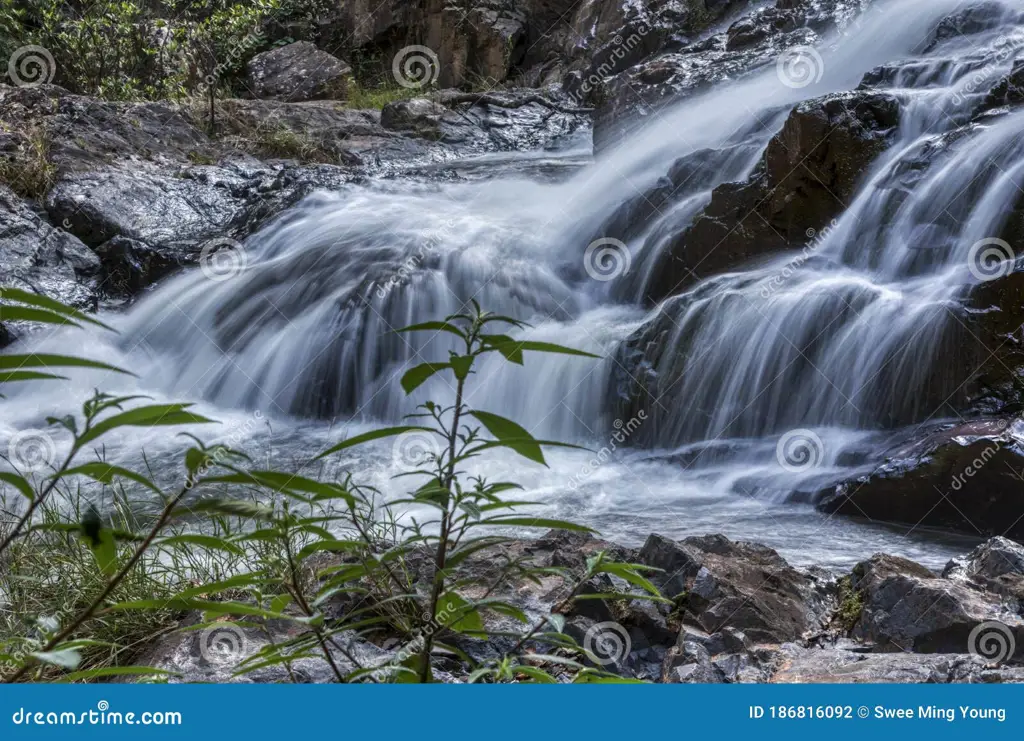 Gambar aliran sungai yang deras