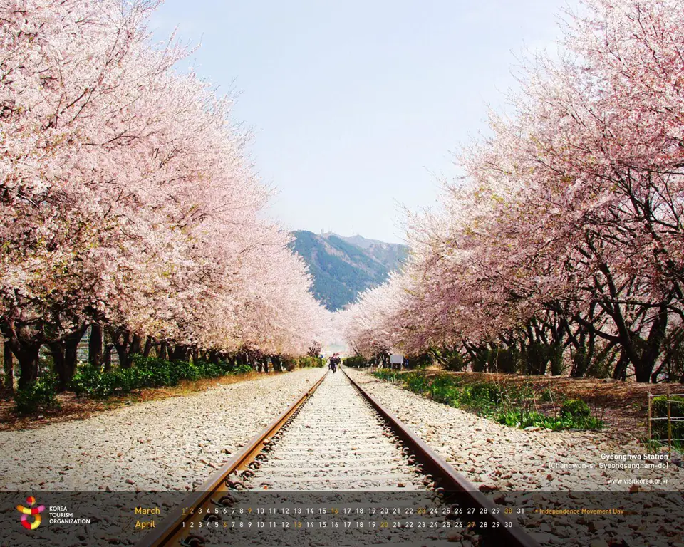 Latar belakang yang indah mempercantik drama BL Korea Pemandangan indah Korea