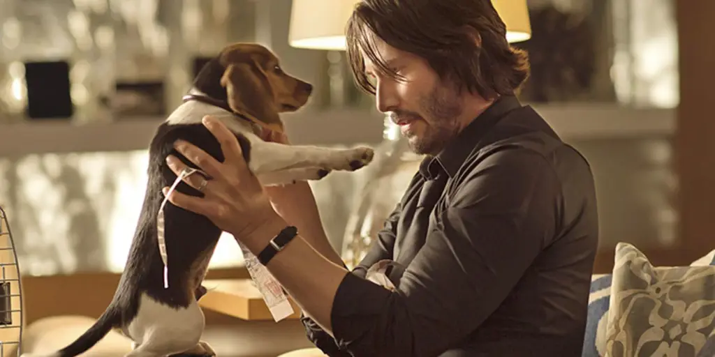 Anjing John Wick yang setia