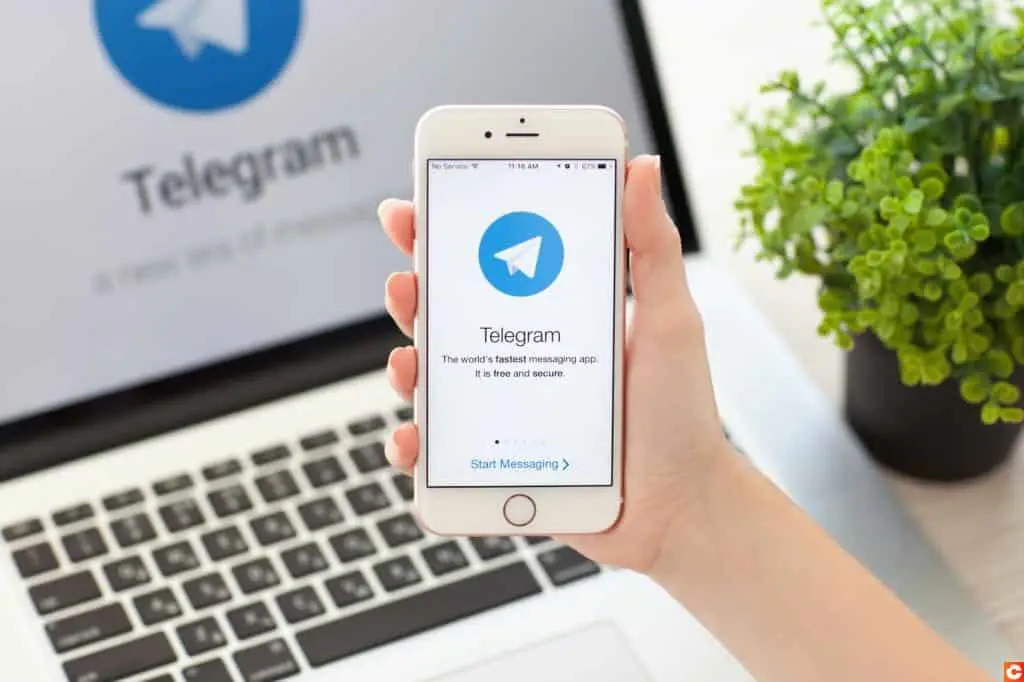 Perbandingan fitur Telegram Web dengan aplikasi Telegram mobile